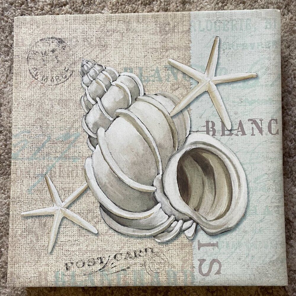 Seashell Canvas Wall Art